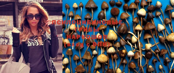 хмурый Лабытнанги