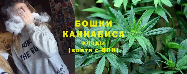 прущие грибы Ладушкин